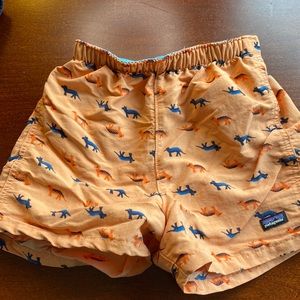 Patagonia Boys 4T Baggies Dino Shorts